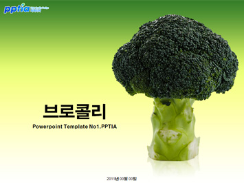 브로콜리 PPT 템플릿 미리보기