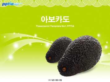 아보카도 PPT 템플릿 미리보기