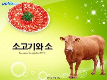 소고기와 소 PPT 템플릿 미리보기