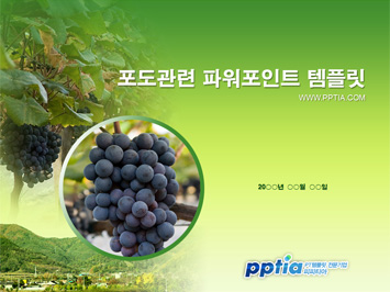 포도 PPT 템플릿 미리보기