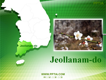 우리나라 지도와 전라남도 PPT 템플릿 미리보기
