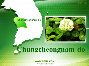 우리나라 지도와 충청남도 PPT 템플릿 미리보기