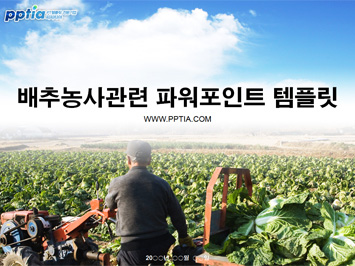 배추농사 PPT 템플릿 미리보기