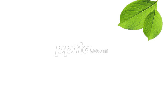 흰색배경과 나뭇잎 이미지 미리보기