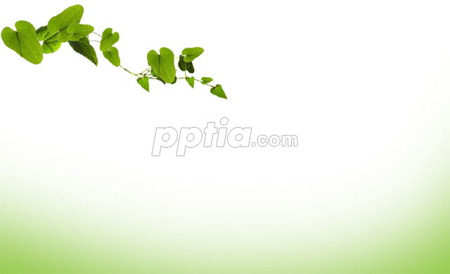 연두색배경과 나뭇잎 이미지 미리보기