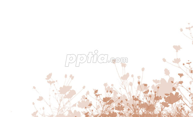흰색배경과 코스모스 실루엣 이미지 미리보기