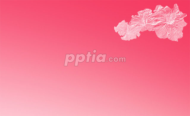 분홍색 배경과 꽃 실루엣 이미지 미리보기