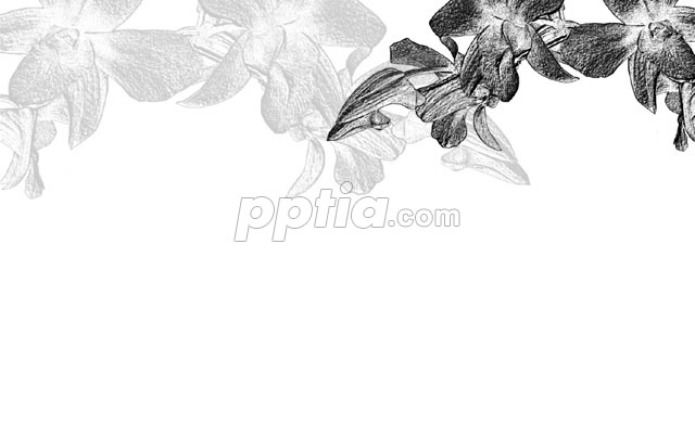 꽃 실루엣 이미지 미리보기