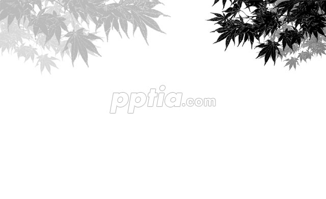 흰색배경과 단풍나무 실루엣 이미지 미리보기