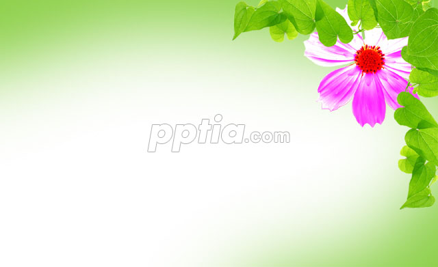 꽃과 나뭇잎 이미지 미리보기