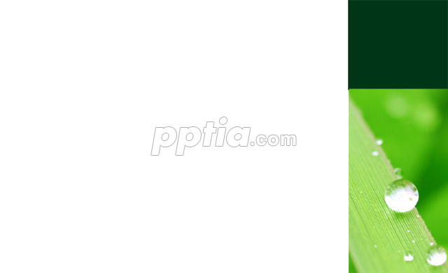 풀잎과 물방울 이미지 미리보기