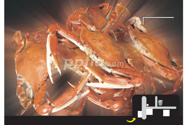 게 이미지 미리보기
