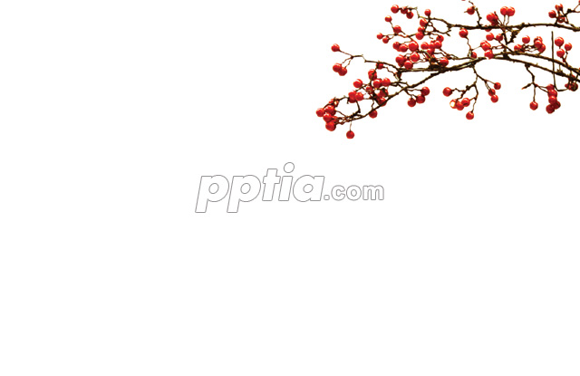 나무와 붉은열매 이미지 미리보기