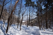 금오산 등산로 일러스트