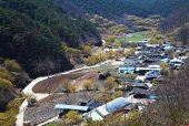 산수유꽃과 밭 일러스트