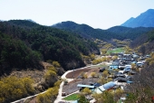 산수유꽃과 밭 일러스트