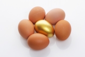 달걀 위에 황금달걀 일러스트