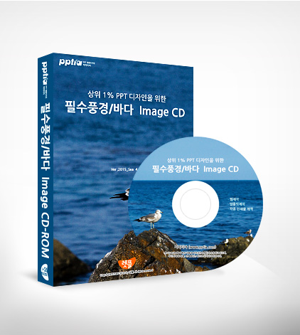 기업 실무용 PPT Design Templates CD