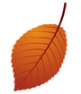 갈색낙엽 템플릿