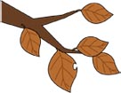 낙엽 템플릿