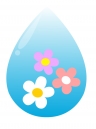 꽃과물방울 템플릿