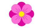 분홍색꽃 템플릿