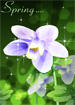 봄의 보라색 꽃 템플릿