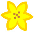 노란색꽃 템플릿