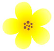 노란색꽃 템플릿