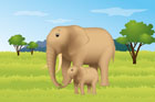 새끼에게 먹이를 주는 코끼리 템플릿