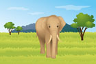 초원에 서있는 코끼리 템플릿