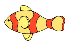주황색물고기 템플릿