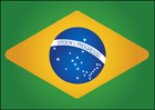 브라질 국기 템플릿