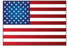 미국 국기 템플릿