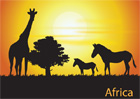 아프리카 초원의 말과 기린의 실루엣 템플릿