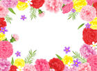 카네이션꽃배경 템플릿