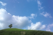 구름낀 하늘과 언덕에 있는 나무 템플릿