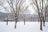 눈 내린 겨울 풍경 템플릿