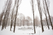 눈 내린 겨울 풍경 템플릿