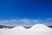 경주 왕릉 겨울 풍경 템플릿
