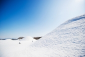 경주 왕릉 겨울 풍경 템플릿