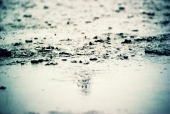 빗물 튀기는 장면 템플릿