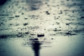 빗물 튀기는 장면 템플릿