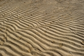 해변가 모래 템플릿