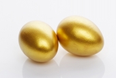 황금달걀 템플릿