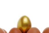 달걀 위에 황금달걀 템플릿