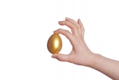 황금달걀 잡고 있는 손 템플릿
