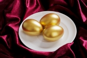 달걀에 둘러쌓인 황금달걀 일러스트/이미지
