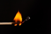 불에 타고 있는 성냥 일러스트/이미지