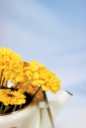 꽃병과 노란꽃 템플릿